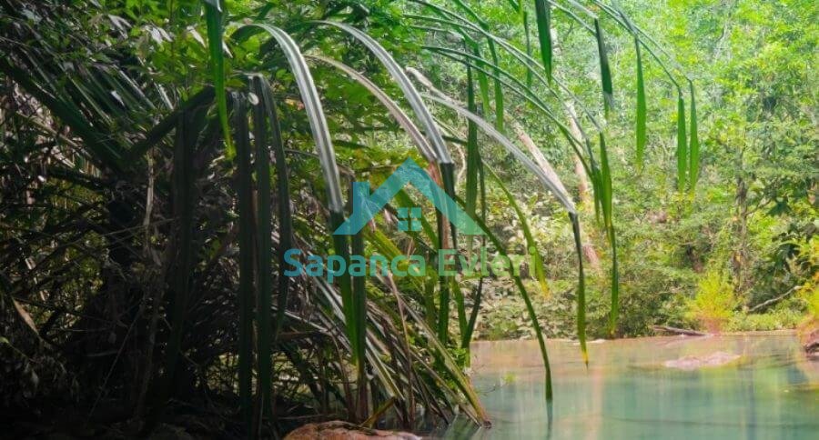 Sapanca Tarihi, Doğası ve Coğrafyası