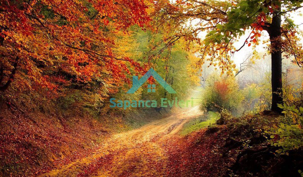 Sapanca İklimi - Sapanca'ya Hangi Mevsimde Gidilir